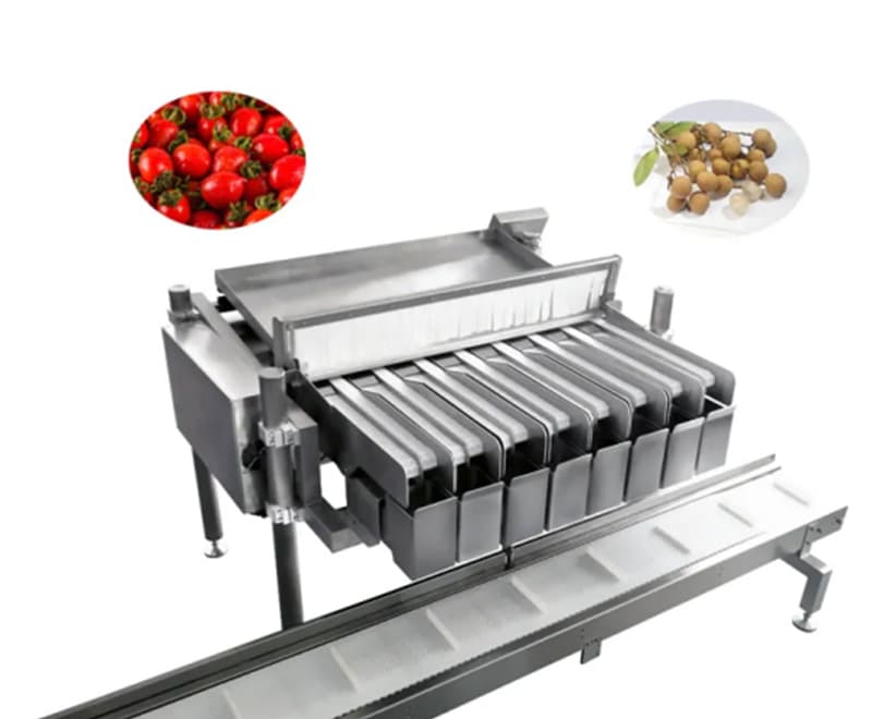 Máquina clasificadora y clasificadora de tomates cherry.jpg